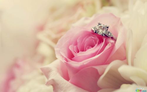 工作越努力，句子越快乐1