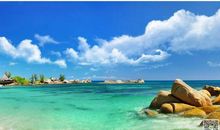 含有永不变的亲情句子