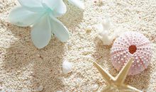 凄凉的唯美句子