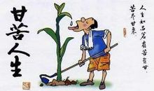 关于享受生活的名言