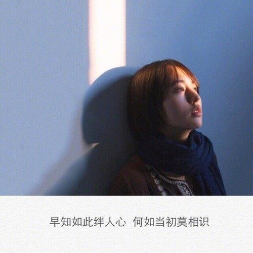 11.刻在椅子背面的爱会像水泥地板上的花朵一样从无风的森林中绽放吗？