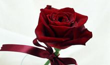 描写婚礼现场的句子