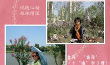 关于姐妹情深的句子