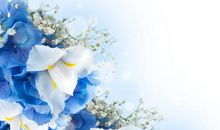 亲情人心的句子说说心情短语