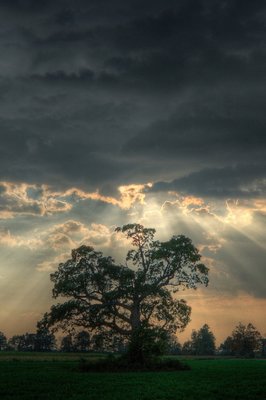 珍惜粮食的名言警句 2