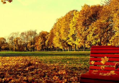 走进千秋的美丽句子