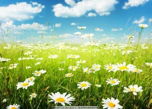 简洁亲情类的句子 2