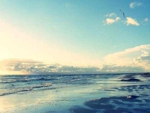 形容一家人在一起亲情的句子