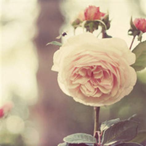 关于亲情细腻的句子 1