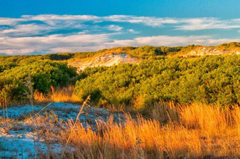 10.注意,抓住幸福,为生活中的甜蜜获得一等奖,为您的温馨生活获得十个奖项,为您获得一百个奖项,将永远是平稳而安全的,回复“幸福与我同在”。让我们先玩吧!