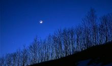 思念，悠长而宁静