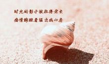 最信任的人背叛的说说心情说说