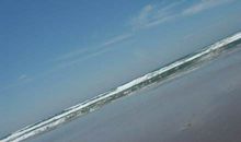 主张自由的座右铭