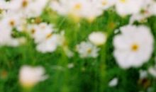 形容美好亲情的句子说说心情