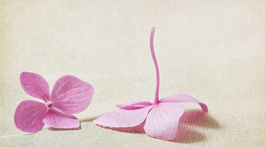 20.我希望像你这样的人能够理解我的内心，理解我的思想，与我一起阅读和购物，并在平凡的生活中过着非凡的生活。