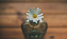 描写亲情的经典电影或书籍句子