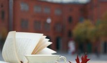 关于书籍的人生感悟句子