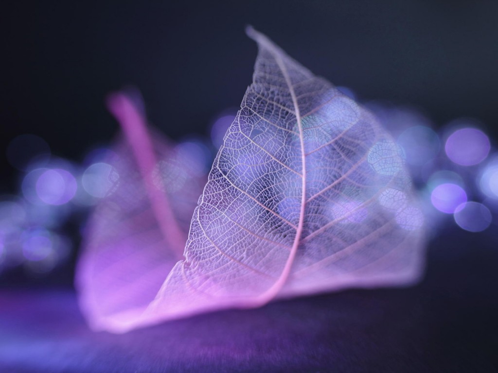 悲伤的谈话与图片4