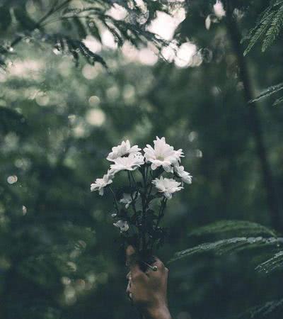 11.总会有人会让你伤心，嫉妒和咬牙切齿。它们不是多么糟糕，而是因为您在乎。如果您在乎，您已经迷路了。谁都不在乎的人是无敌的。