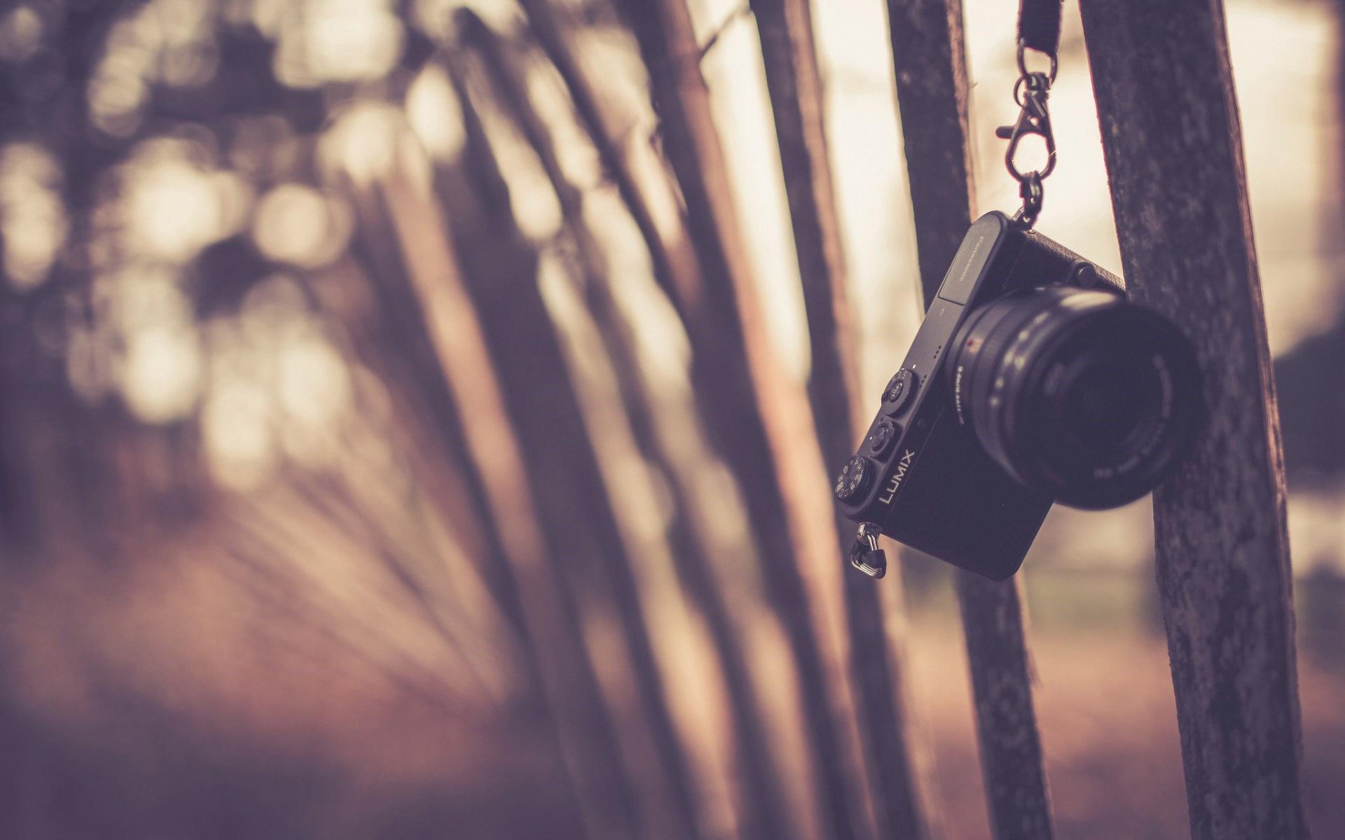 悲伤的谈话与图片7