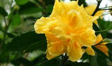 人生就像植物生长的过程