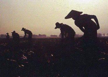 艰苦奋斗的座右铭