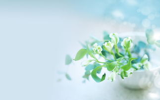 有关亲情抒情的句子 2