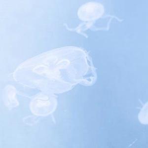 有关亲情抒情的句子