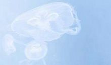 有关亲情抒情的句子