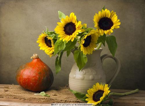 简单亲情可贵的句子 2