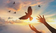 不计较得失的经典句子