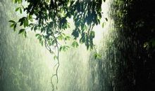 借雨的抒情句子