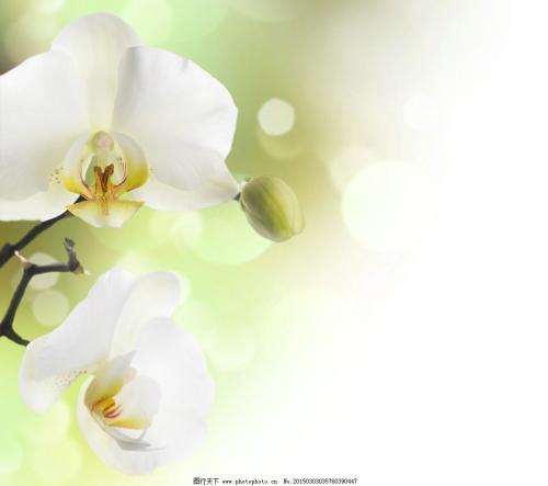 简单亲情可贵的句子