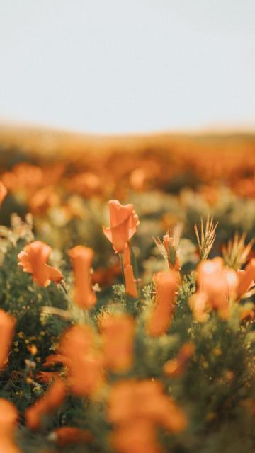 对亲情失的唯美句子说说心情 1