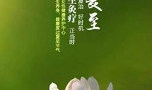 让人心静的句子