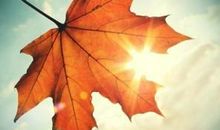 对未来充满希望的签名