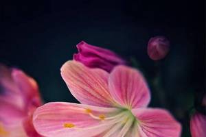 平心静气的佛经句子 2