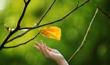 描写要心静的句子