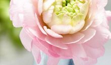 关于在乎亲情的句子说说心情短语