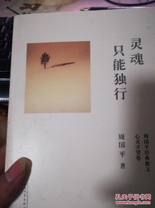 灵魂只能独自行走