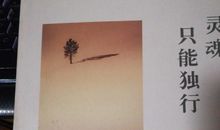 灵魂只能独行经典语录