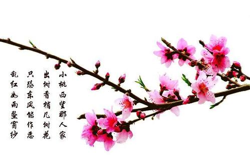 关于幸福与美丽的一句话