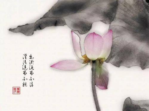 史记中劝人心静的句子 2