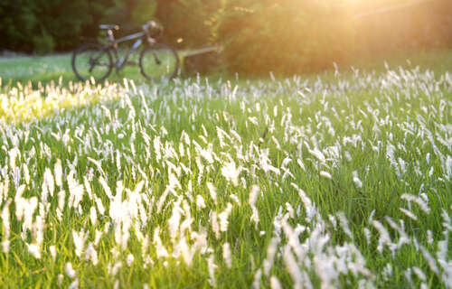 表达情感的审美句子