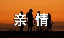 有关亲情细节描写句子