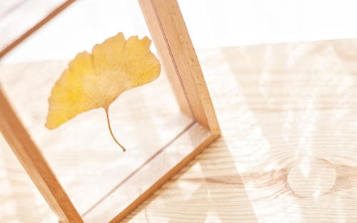 写五句亲情的句子 2