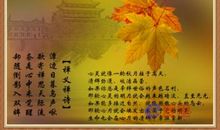 关于孝的人生格言