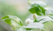 美好励志句子说说心情