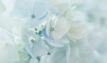 家人们在一起开心的句子