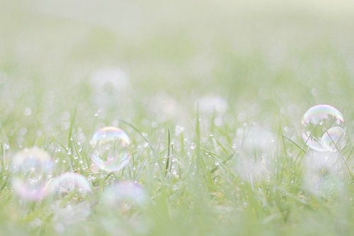 写五句亲情的句子 1